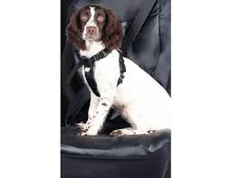 Petsafe solvit dog safety harness. Medium Dog Car Harness Halfords Uk