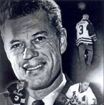 Search Term Search for Bears