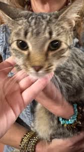 Osanippa Baptist Church added a...