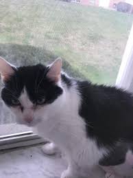 Terrence Ring (@terrenceringtrucking) • Instagram photos and videos