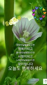 좋은하루 오늘도 행복하세요 힘을 주는 명언 인용문 인용구