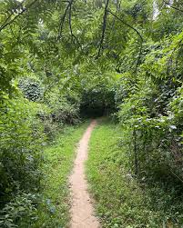 Evan Steinbrink (@evan_steinbrink) • Instagram photos and videos