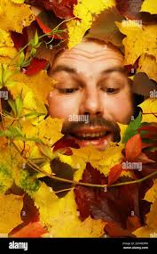 Artistic conceptual autumn beard man portrait. Colorful leaves. Leaves of  trees around an emotional face. Autumn is coming Stock Photo