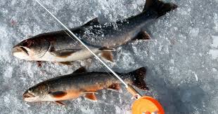 Check spelling or type a new query. Caribou Lake Alaska Org