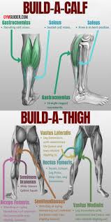 The Top 9 Best Thigh And Calf Exercises Ever Devised In One Workout Gymguider Com Calf Exercises Full Leg Workout Gym Workout Tips