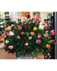 Search results are sorted by a combination of factors to give you a set of choices in response to your search criteria. Naples Florist Flower Delivery By Gene S 5th Ave Florist