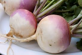 Check spelling or type a new query. Turnip Wikipedia