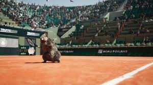 Ce lundi 28 décembre, jamie, 59 ans, a eu l'idée de partager sur son compte. France 3 Alpes Les Marmottes Font Du Tennis Facebook