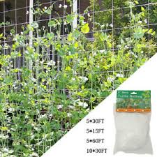 Check out our trellis vine flowers selection for the very best in unique or custom, handmade pieces from our shops. Fruit Flower Vine Plant Support Growing Mesh Climbing Net Garden Trellis Netting Ebay