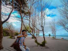Pantai sigandu adalah salah satu pantai yang terletak di sebelah utara pulau jawa, tepatnya berada di desa klidang lor, batang, kab. Pantai Cemara Sewu Harga Tiket Masuk Dan Spot Foto Terbaru 2021