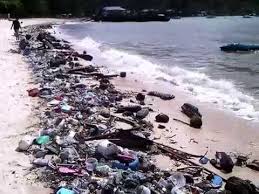 Image result for Thailand sea pollution