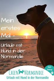 Wisst ihr noch euer erstes mal? Mein Erstes Mal Urlaub Mit Hund In Der Normandie Chiennormandie Urlaub Mit Hund In Der Normandie