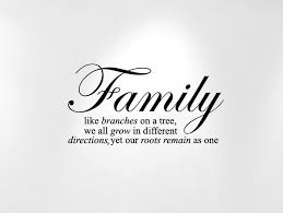 Family Like Branches On A Tree Quote Wall Decal Missing Family Quotes Family Quotes Inspirational Family Quotes Tattoos