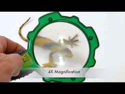 4 out of 5 stars Backyard Savari Lazer Light Bug Vac 0t2419804tl Youtube