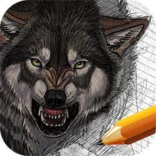 Now that you have the basic head of your wolf mapped out, draw a layer of fur surrounding the head and ears. How To Draw Wolves Amazon De Apps Fur Android