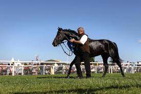 Doudle declared a few months ago that not usual glorious was something special and backed that comment up again. Galopper Des Jahres Wahl Das Ist Weltstar Galopponline