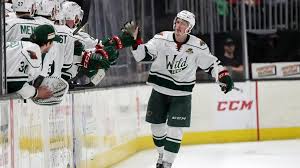 Minnesota Wild Recalls Defenseman Nick Seeler From Iowa