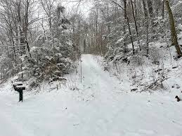 December 22nd, 2022 Timber Lane in Cove Gap.