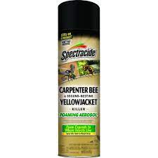 Spectracide 16 Oz Aerosol Carpenter Bee And Ground Nesting Yellow Jacket Killer Foam Hg 53371 The Home Depot