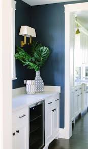 dark blue kitchen pantry with white