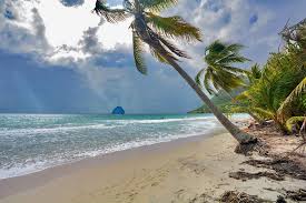 Have similer milieux.this plage is worth waitng for. Les Plus Belles Plages De La Martinique Locations Vue Turquoise