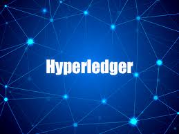 No cryptocurrencies are running on hyperledger fabric and there is no requirement for the same. Hyperledger Blockchain Development Company In Malaysia Blockchain Technology Blockchain Cryptocurrency Blockchain
