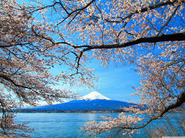 Mount Fuji Iphone Wallpapers On Wallpaperdog