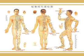 Buy Human Meridian Acupuncture Points Chart Large Wall Map