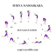 Thus in english, surya namaskar is also referred to as sun salutation. What Are The Names Of 12 Asanas Of Surya Namaskar Quora