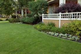 Proper yard maintenance is necessary in natural pest mulching grass clippings and adding other mulched material to the lawn as a natural fertilizer is beneficial. Organic Lawn Care In Boston Lawn Doctor Of Boston