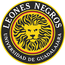 We did not find results for: Leones Negros Logo Vector Cdr Free Download