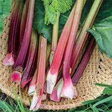 Where to buy rhubarb when it is in season near me? Rhubarb Plants For Sale Buy Rhubarb Crowns Gurney S