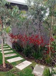 Australian Native Gardens Bench Path Google Search Landscape Design Plans Garden Planning Garden Design Plans