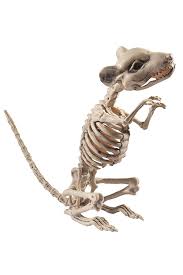 Amazon Com Rat Skeleton Prop Toys Games