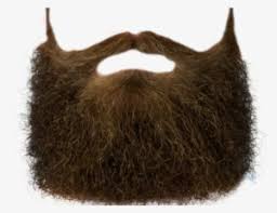He has worn a number of beard styles altering from total clean shave look to. Beard Png Download Transparent Beard Png Images For Free Page 2 Nicepng