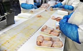 Because Pests Carry Filth And Bacteria Leading To Insanitary Conditions They Are Considered An Adulterant Bu Food Safety Food Borne Illness Food Industry