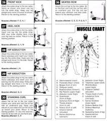 Weider 8530 Exercise Chart Home Gym Exercises Gym