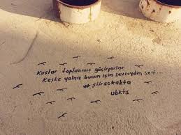 Cemal Sureya Kuslar Toplanmis Gocuyorlar Ile Ilgili Gorsel Sonucu Siir Kitap Alintilari Guzel Soz