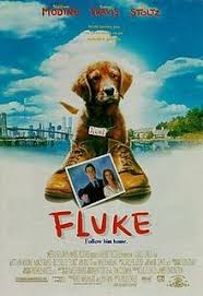 Dogs are man's best friend and great subjects for major motion pictures. Fluke Film Wikipedia