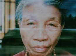 Which Way is East: Notebooks from Vietnam