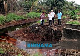 We did not find results for: Bernama 15 Projek Berkaitan Saliran Pertanian Di Tanjung Piai Dilaksana
