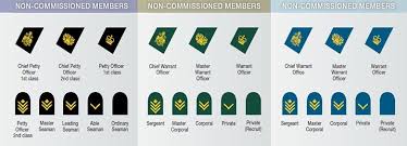 canada military nco chart military ranks army ranks