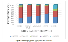 Image result for Afrostyrax kamerunensis