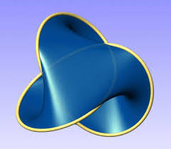 Image result for seifert surface