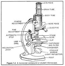 Use straight lines to enclose a rectangular shape around the bottom of the microscope. Compound Microscope Structure And Working Principles