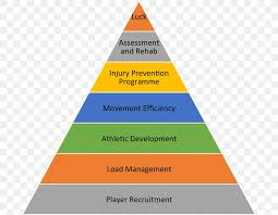 Pyramid Scheme Organizational Structure Human Resources Png