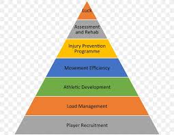 pyramid scheme organizational structure human resources png