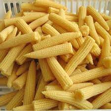 Made with baby corn, capsicum and chili sauce, it makes for a tasty party appetizer or starter. Yellow Baby Corn Packaging Size 5 Kg Packaging Type Net Bag Rs 80 Kilogram Id 4231694397