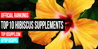 She provides plant and botanical design experiences, from small gifts to entire transformations, to shoppers as well as commercial clients including whole foods market and the four seasons. Best Hibiscus Teas Supplements Top 10 Brands For 2021