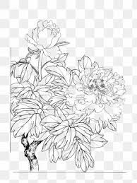 Check spelling or type a new query. Line Art Flower Images Line Art Flower Transparent Png Free Download
